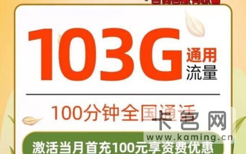 流量多的手机卡推荐2022 每月流量至少100G