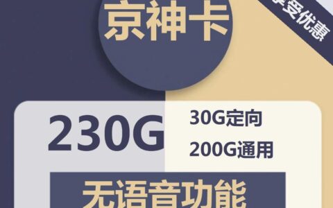 电信京神卡49元包200G，全国通用流量+无语音功能