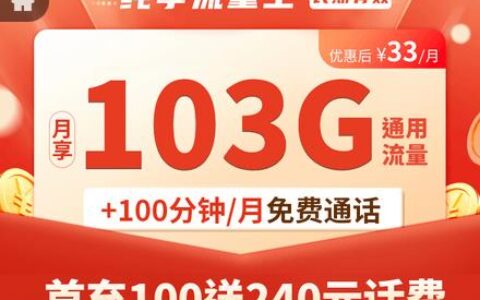 广东联通流量王纯享版月租33元/月，首冲100送240元话费