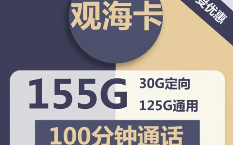 电信观海卡29元包125G全国通用流量+30G定向流量+100分钟通话