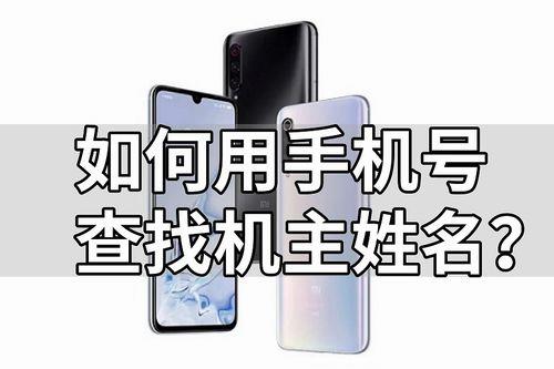 如何查询名下手机号？一证通查服务让你轻松搞定