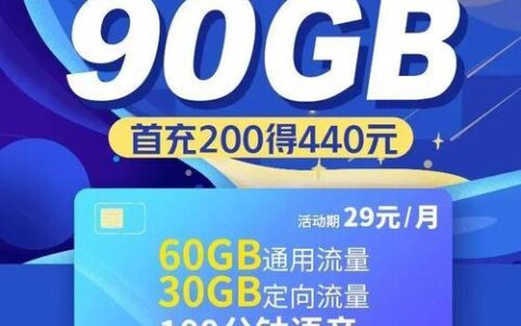 广东流量王29元流量版，月享60G+30G定向流量+100分钟通话