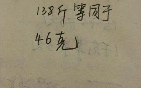 20磅等于多少公斤？