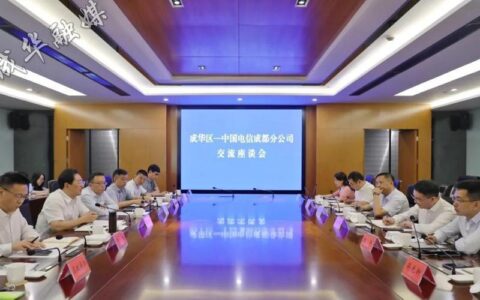 中国电信湖北分公司：数字湖北建设的坚强支撑