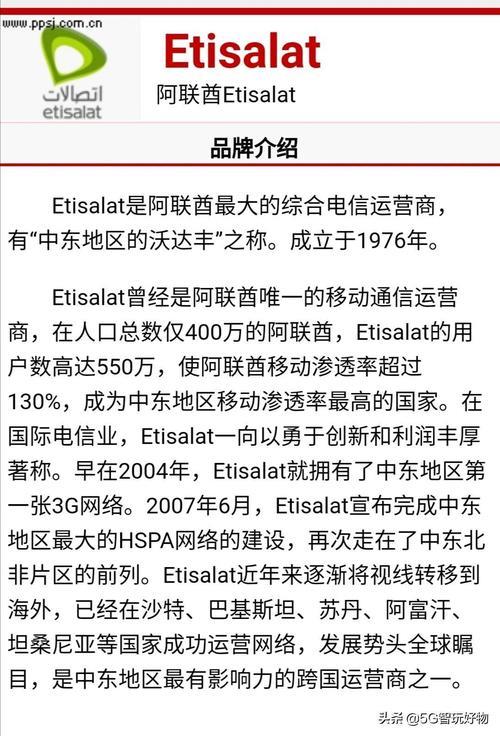 阿联酋电信（Etisalat）：中东和非洲的领先电信提供商