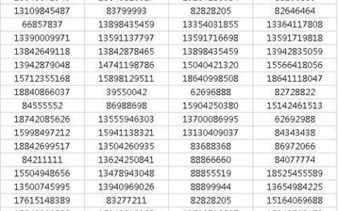 手机号码大全20000个