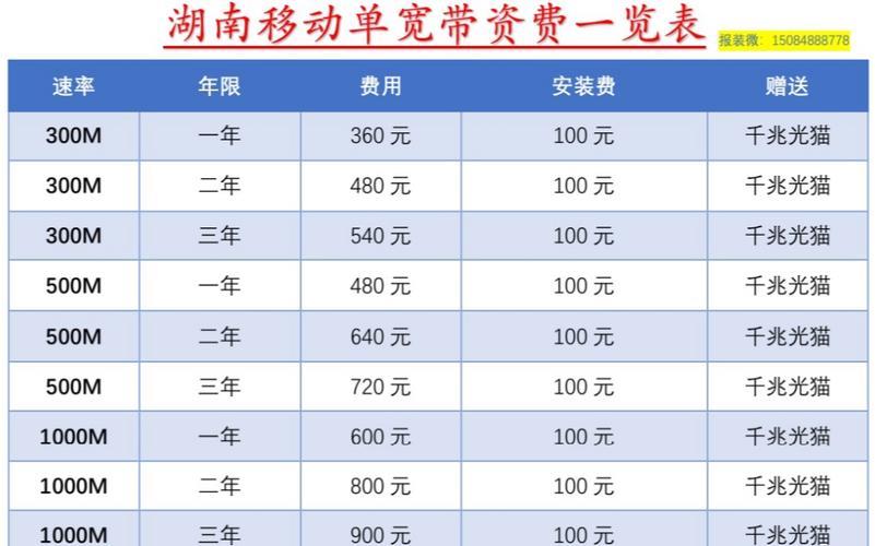 广州移动专线宽带价格