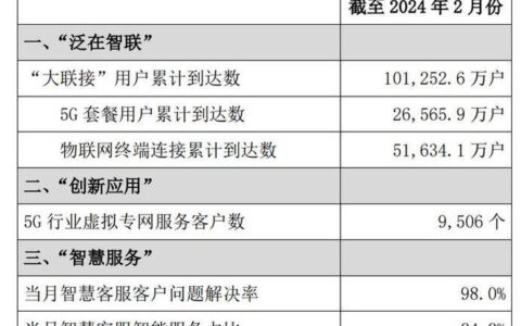 联通流量最大的套餐：2024年最新对比