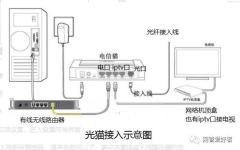 网络盒子怎么插网线？