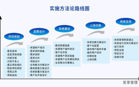 如何管理系统软件公司：成功指南