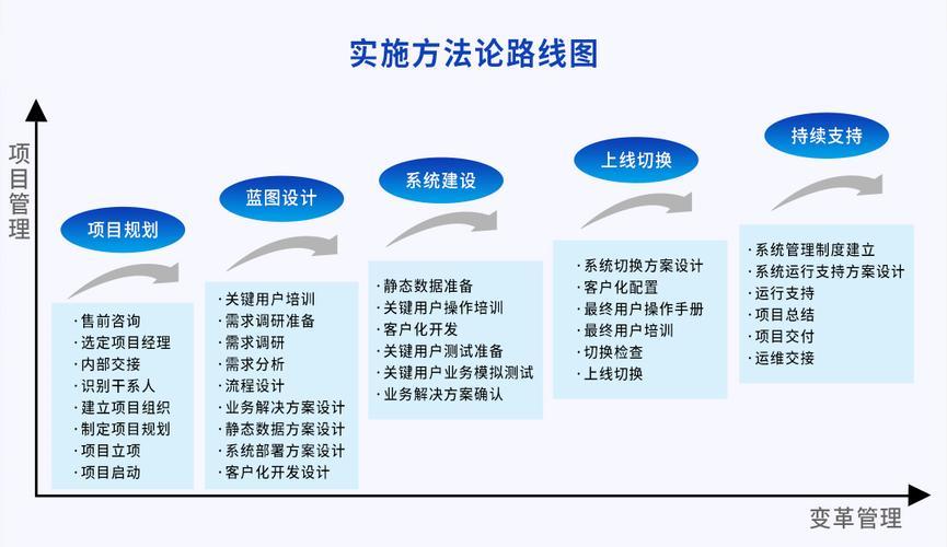 如何管理系统软件公司：成功指南