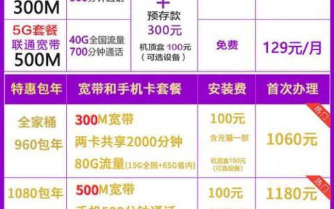 联通169套餐介绍：高性价比套餐，满足多元需求