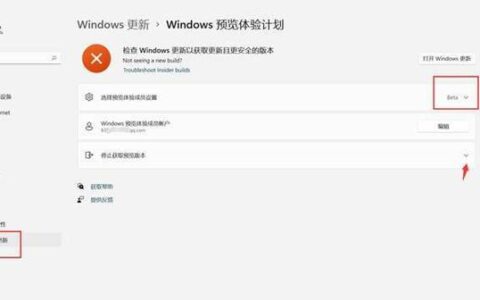 Win11Dev如何取消预览？