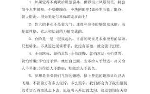 奋斗的短句子：点亮梦想之路的火炬