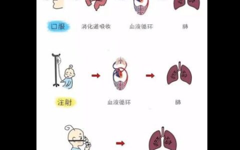 给药途径吸收速度最快的是？