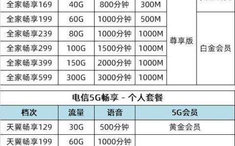 电信1295g套餐内容