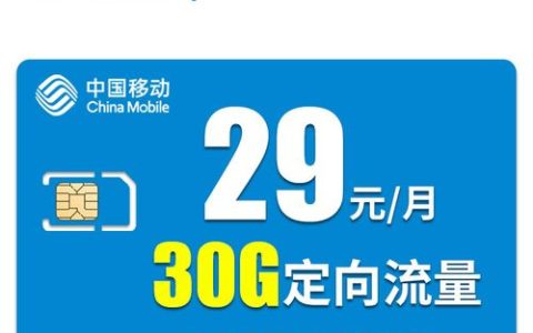 中国移动29元100g通用流量卡